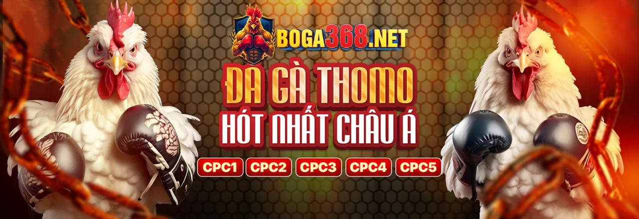 Sân đấu đá gà trực tuyến sôi động tại 777bet chính thức